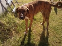 /album/woof-woff-com/cam00270-jpg/