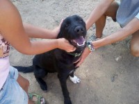 /album/woof-woff-com/a77003-100649716776308-2083582028-n-jpg/